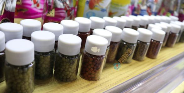 如何选择鱼粮？为观赏鱼选择口粮，有时挺烧脑
