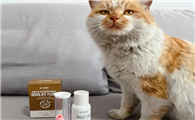 猫咪益生菌哪个好