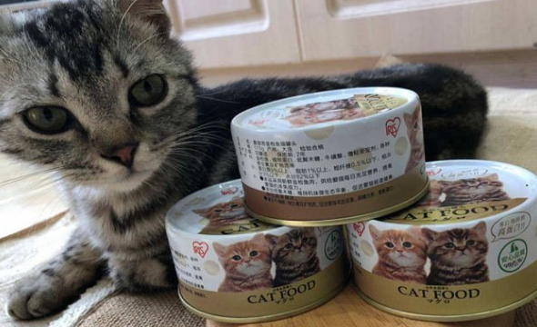 猫咪一天一个罐头可以吗