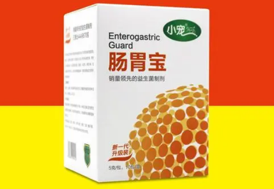 宠物肠胃宝怎么喂