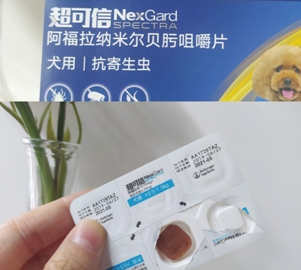 宠物驱虫怎么做