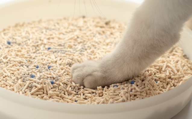 10l猫砂等于多少斤
