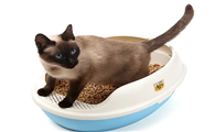 猫砂哪个牌子质量好性价比高