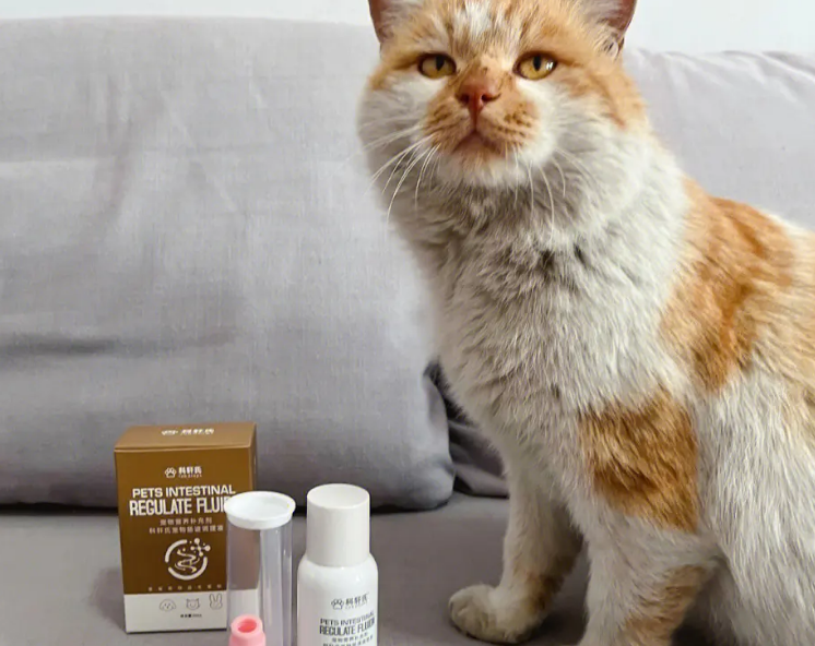猫咪益生菌哪个好