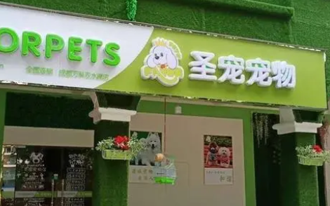 宠物加盟费多少钱