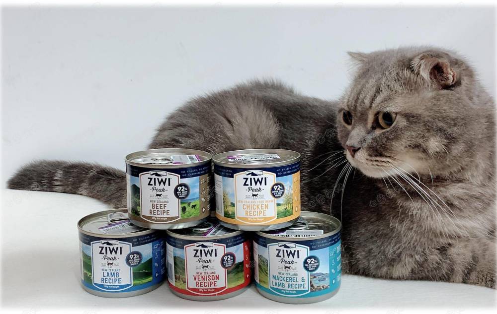 进口猫罐头排行