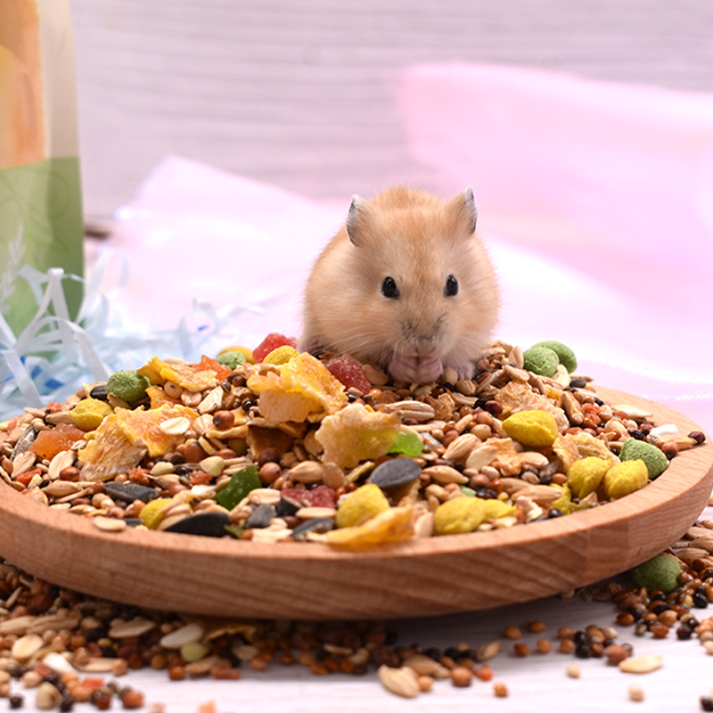 狗能吃仓鼠粮吗 狗能吃仓鼠粮吗