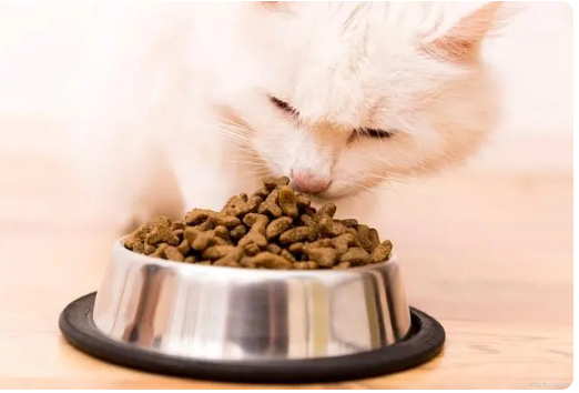 50克猫粮是多少 50克猫粮是多少