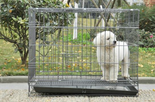 狗圈笼子里叫怎么办