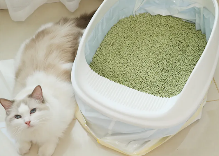 家猫会用猫砂吗 家猫会用猫砂吗