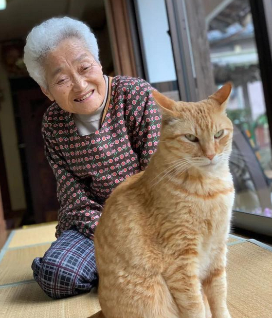 头发花白的奶奶背肥硕橘猫,却露温暖笑容,太治愈啦 头发花白的奶奶背肥硕橘猫,却露温暖笑容,太治愈啦