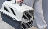 猫咪航空箱标准