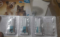 狗狗体内驱虫后多久可以洗澡