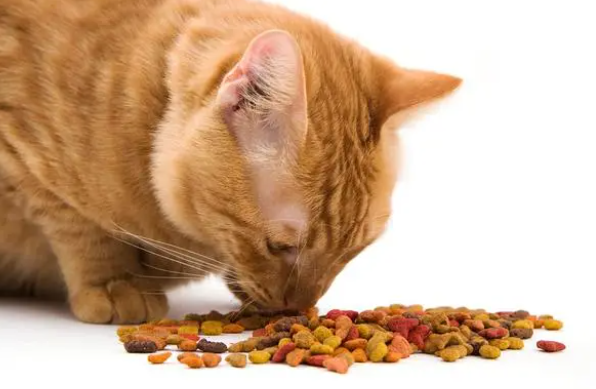 15克猫粮大约是多少粒