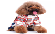 什么牌子的宠物衣服好 什么牌子的宠物衣服好