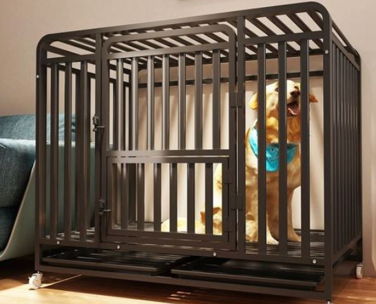 幼犬笼子里训练大小便