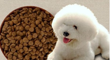 比熊去泪痕狗粮推荐