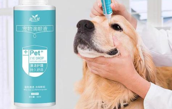 狗狗眼睛有点发红可以用什么滴眼液
