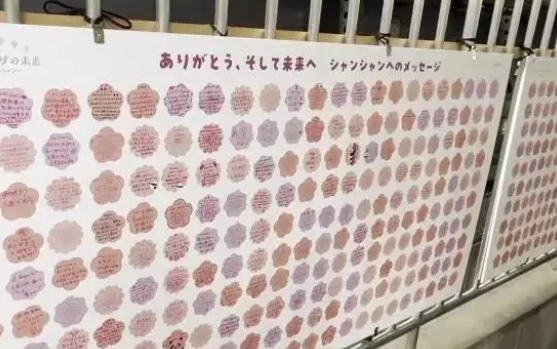 旅日大熊猫香香明日回国，日本民众含泪道别