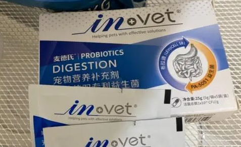 益生菌给狗狗怎么服用