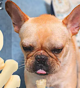 哪个牌子狗零食质量好