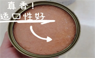 猫能吃猫罐头吗