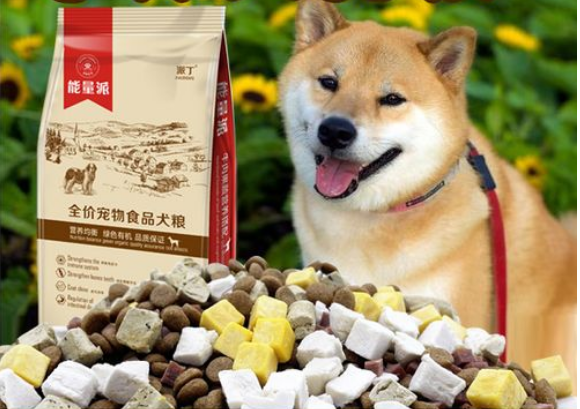 豆柴狗粮厂家