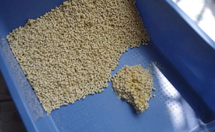 猫砂怎么铺比较好