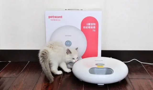 哪个品牌的自动喂食器比较好