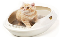 猫砂属于什么类别