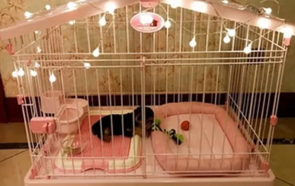 狗笼子要多少钱