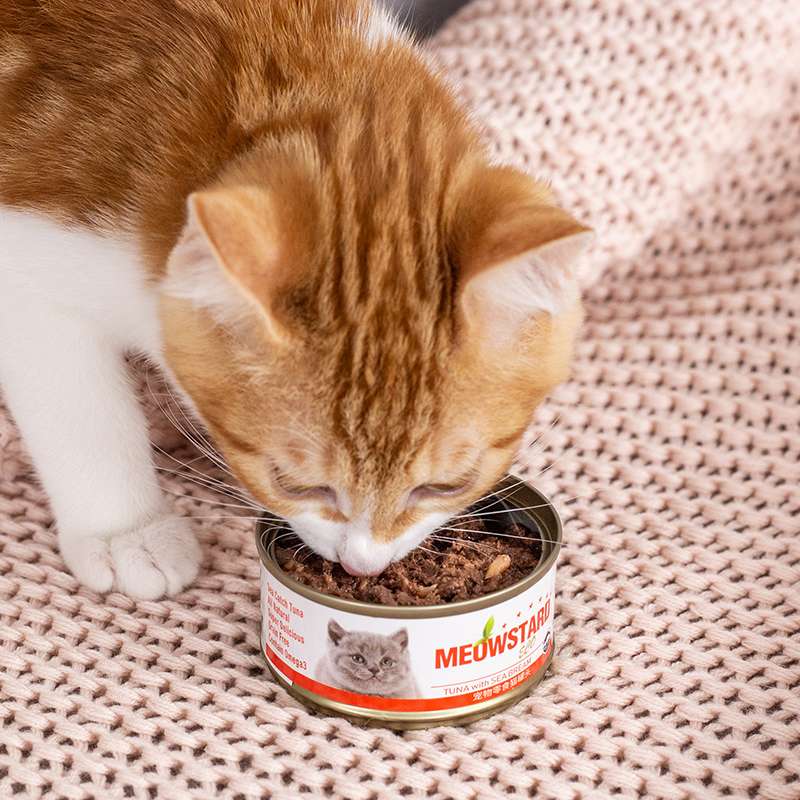 猫罐头十大排行