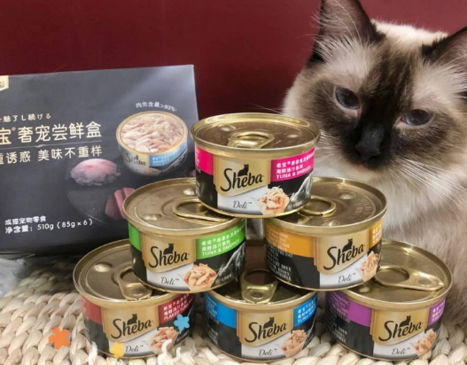 猫罐头一次能吃多少