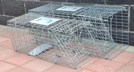 宠物商店有卖捕猫笼吗 宠物商店有卖捕猫笼吗