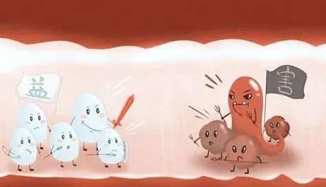 狗狗体内外驱虫多久一次