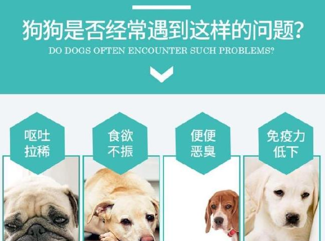狗狗在什么情况吃益生菌呢？4大方面详解益生菌！