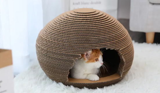 猫的玩具都有什么
