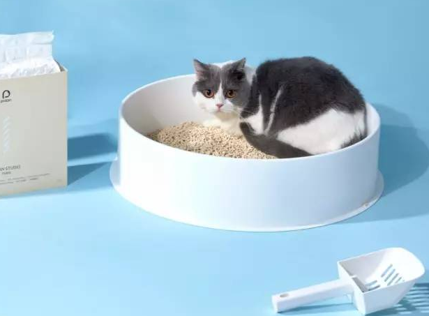 如何挑选猫砂