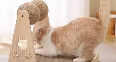 猫抓板的种类,如何教猫咪使用猫抓板 猫抓板的种类,如何教猫咪使用猫抓板