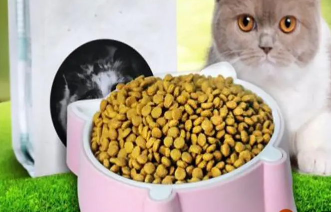 便宜好一点的猫粮