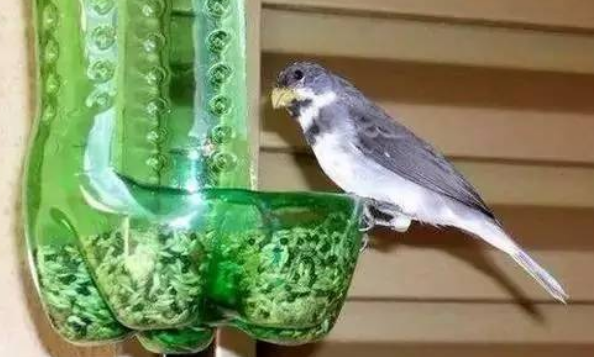 怎么做宠物喂食器和喂水器