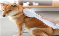 狗狗吹水机什么品牌质量好