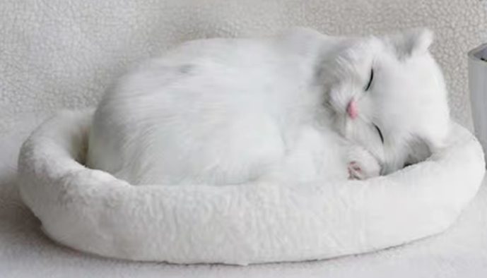 仿真小猫咪玩具 仿真小猫咪玩具