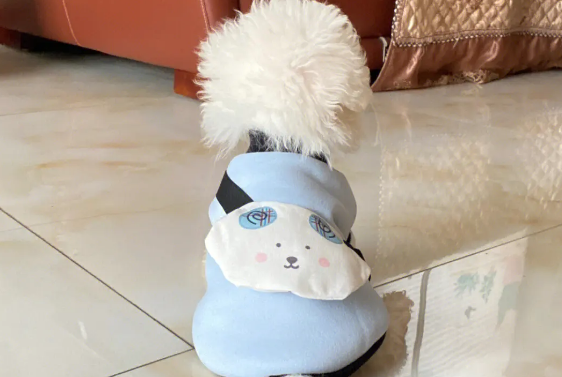 小狗衣服多少钱一件