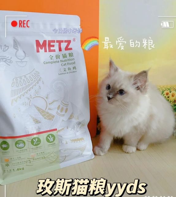 布偶适合什么牌子的猫粮 布偶适合什么牌子的猫粮