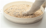 猫砂可以更换吗