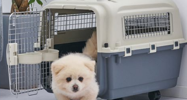 宠物航空箱重量