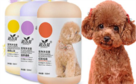 猫狗能用一样的沐浴露吗