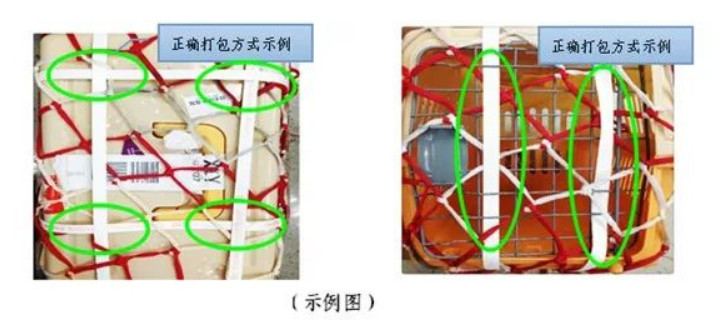 史上最全！航空公司宠物托运全攻略