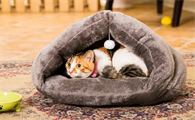 户外冬季保暖猫窝